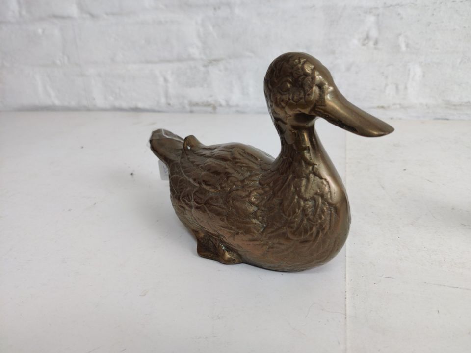 Große Messing Enten Figuren, 21 cm und 15 cm,Ente,Figur,Deko in Köln