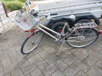 Damen Fahrrad Nordrhein-Westfalen - Rüthen Vorschau