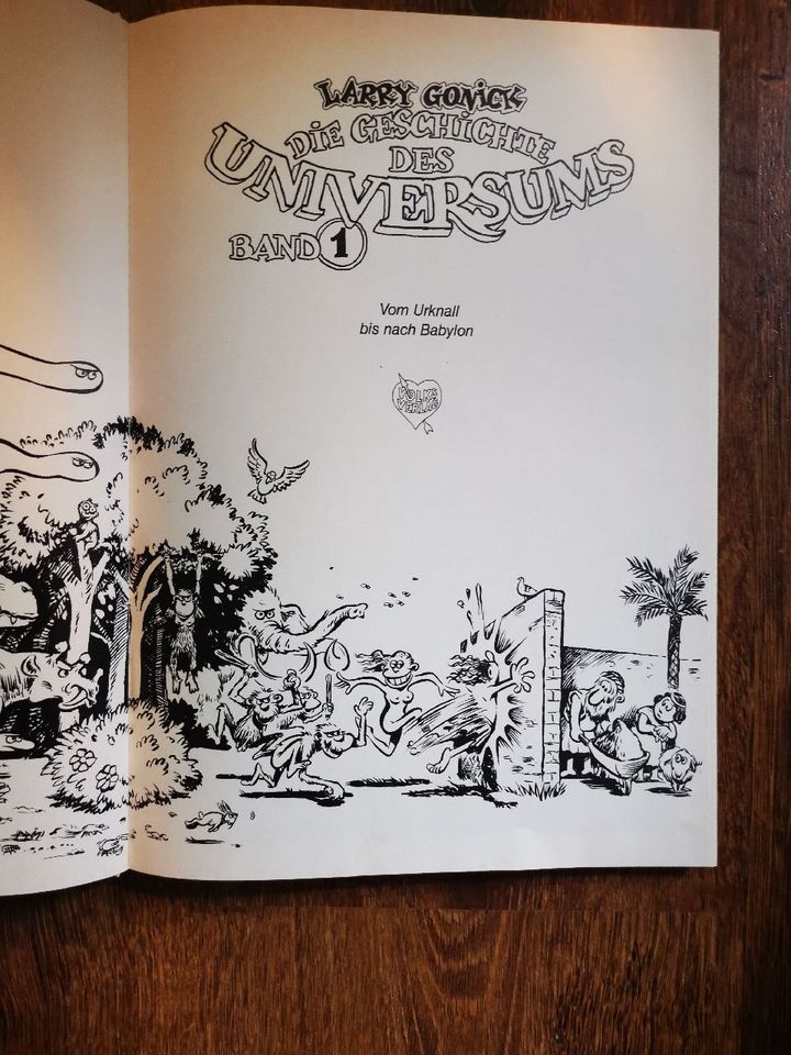 Die Geschichte des Universums von Larry Gonick*1980 in Aurich