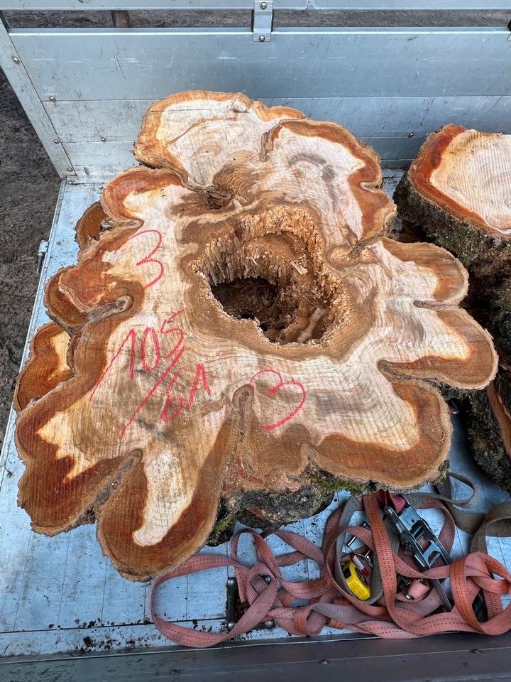 Baumscheiben Riesig Kirschbaum  Tischplatten in Wallenhorst