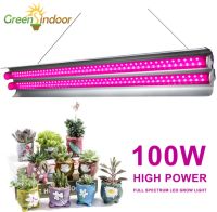 Growlampe Vollspektrum 100W Düsseldorf - Friedrichstadt Vorschau