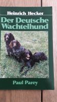 Der Deutsche Wachtelhund Bayern - Pleinfeld Vorschau