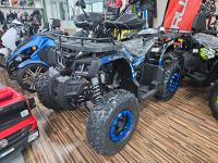 quad 200cc maxi Kinder Quad Reptile RS10-CVT Platin Rheinland-Pfalz - Bad Breisig  Vorschau