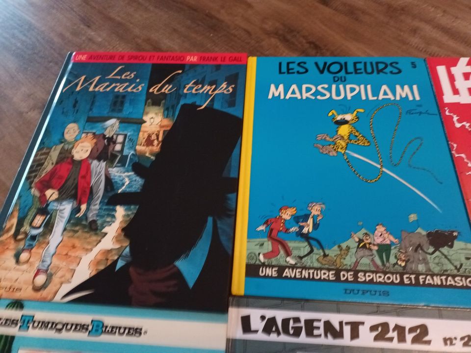 Diverse Comics in französischer Sprache (Spirou, Achille Talon) in Hügelsheim