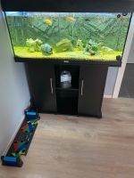 Aquarium 180L Juwel Combi Rio Lesen Bitte Hessen - Bad Nauheim Vorschau