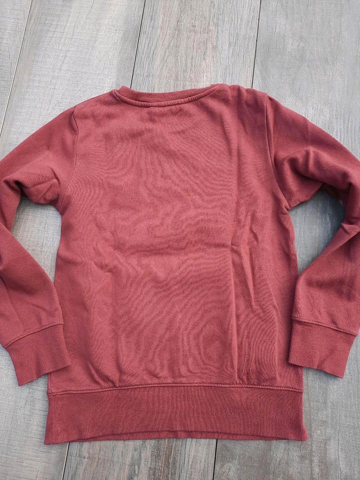 Pullover/ Hoddies/ Sweatshirts in Gr. 134/140 je 4 Eur in Bremen