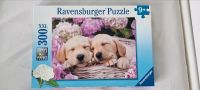 Puzzle Ravensburger Hundewelpen 300 Teile ab 9 J Nordrhein-Westfalen - Gütersloh Vorschau