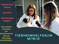 Tierheimhelfer/in gesucht (m/w/d) Berlin - Biesdorf Vorschau