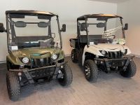 WSM RTX 800E Golfcart, Golfcar, Elektrofahrzeug mit STVZO Sachsen - Markneukirchen Vorschau