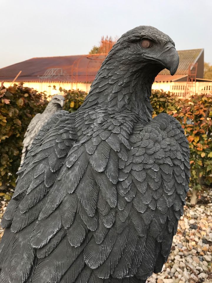 ‼️Adler 100kg 106cm Steinadler Seeadler Greifvogel Eagle Harley‼️ in Düsseldorf