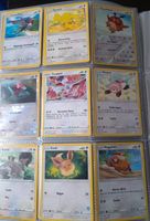 Pokémon Originale Sammelkarten Dortmund - Schüren Vorschau