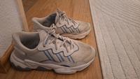 adidas ozweego Bayern - Fürstenfeldbruck Vorschau