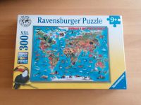 Puzzle Ravensburger 300 Teile Dortmund - Neuasseln Vorschau