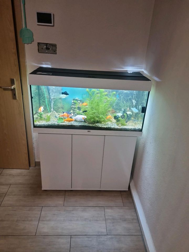 180 Lieter Aquarium mit Zubehör zuverkaufen in Brünn bei Eisfeld