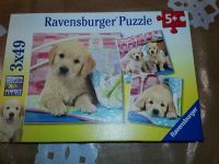 Ravensburger Puzzle Hund/Welpe (3x49 Teile) 5+ Obervieland - Habenhausen Vorschau