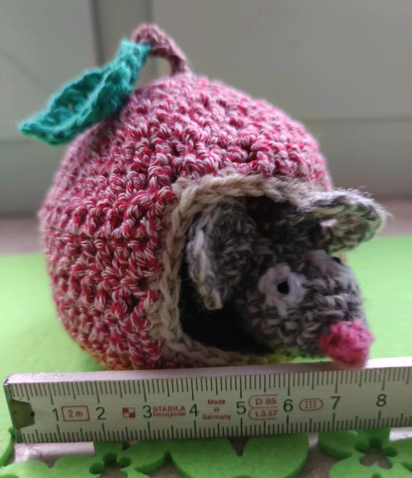 Rabe Socke Apfelmäuschen Birnenmäuschen Mäuschen Apfel Birne in Obernburg
