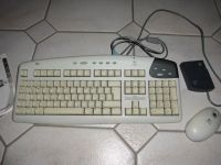 Tastatur und Maus - Funk Logitech Hessen - Wölfersheim Vorschau