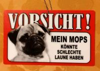 Mops Vorsicht! Thüringen - Themar Vorschau