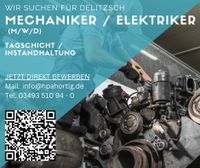 Mechaniker / Elektriker (m/w/d) - Instandhaltung - Delitzsch - Ta Sachsen - Delitzsch Vorschau