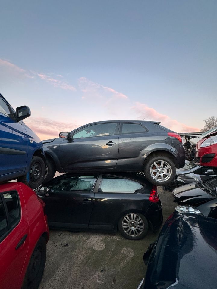 Kia Ceed 1.4 66KW Autoteile Ersatzteile Schlachtfest in Waldbröl