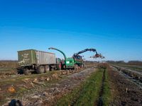 Rodung  von Plantagen Niedersachsen - Jork Vorschau