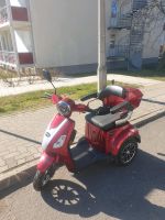 Seniorenmopil E-Trike Leipzig - Lößnig Vorschau