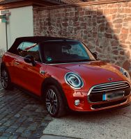 Mini Cabrio Premiumausstattung Chili LED PDC Hessen - Hainburg Vorschau