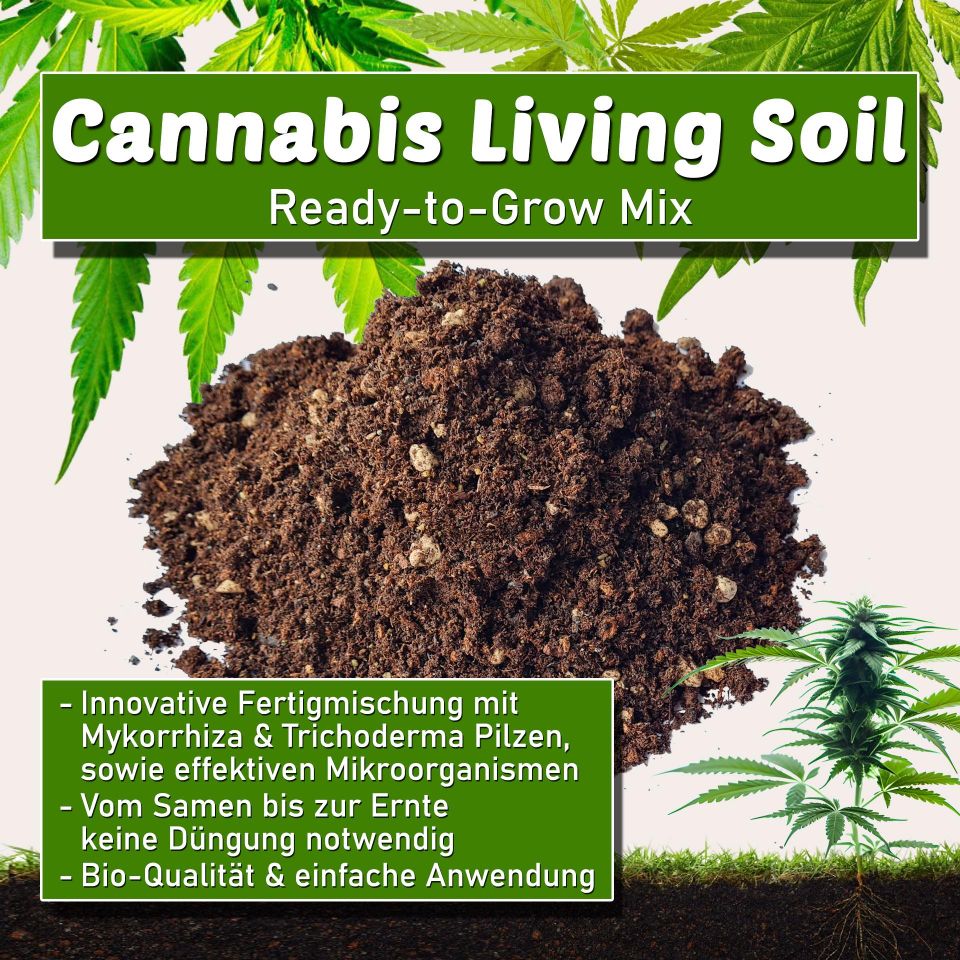 Cannabis Living Soil | Ready to Grow Mix - Bio Erde in Hessisch Oldendorf
