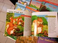 Kinderspielzeug-Figuren mit Büchern Brandenburg - Lunow-Stolzenhagen Vorschau