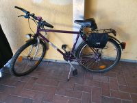 26 Zoll Staiger Herrenfahrrad/City bike/Trekking rad Berlin - Steglitz Vorschau