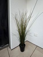 Ikea Fejka Pflanze, künstlich, Gras 105cm Rheinland-Pfalz - Hetzerath (Mosel) Vorschau