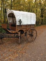 Planwagen Westernwagen Schleswig-Holstein - Itzstedt Vorschau