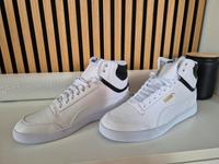 Puma Schuffle Mid Sneaker Größe  43 White-White-Black-Gold NEU OV Friedrichshain-Kreuzberg - Kreuzberg Vorschau