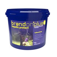 (26.33€/1kg) St. Hippolyt - Brandon plus Hepatic Protect - Lebers Baden-Württemberg - Gunningen Vorschau