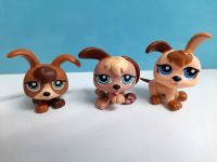 LITTLEST PET SHOP 3 Hunde Welpen Set #1338 #1339 #1340 Petriplets Hamburg-Mitte - Hamburg Rothenburgsort Vorschau