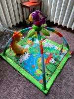 Spieldecke für Babys, Fisher-Price Rainforest Borsdorf - Panitzsch Vorschau