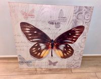 Leinwand Bild groß Motiv Schmetterling Sachsen - Zwickau Vorschau