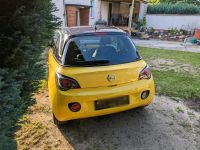 Opel Adam von 2015 ....anschauen lohnt Brandenburg - Seelow Vorschau