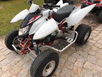 Ankauf Access Lucky Star 250 300 400 450 850 Quad Alle Frankfurt am Main - Gutleutviertel Vorschau