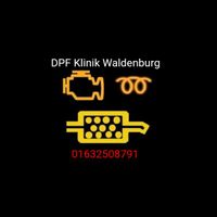 DPF Reinigung Diesel PARTIKELFILTER reinigen - freibrennen Sachsen - Waldenburg Vorschau