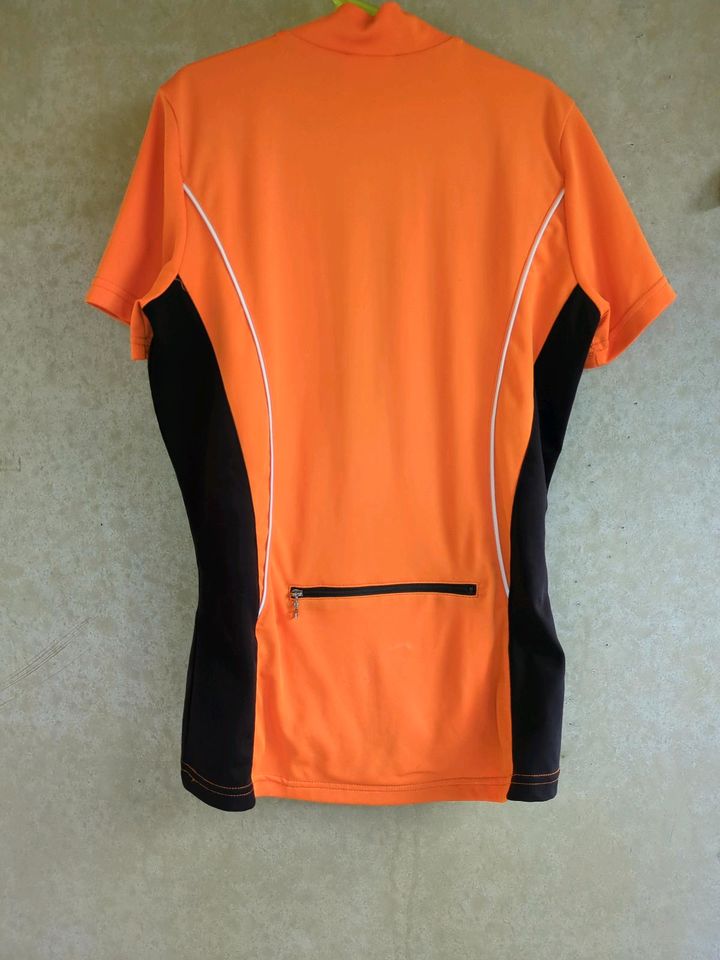 Radtrikot Damen Gonso Gr 36 in Dresden