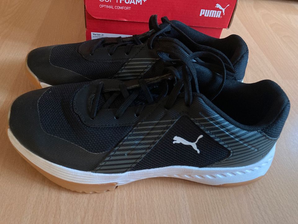 Puma Hallenturnschuhe Größe 37,5 in Hanau