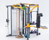 MASTERSPORT Crosscage Functional Homegym Crossfit Zirkel Kabelzug Rheinland-Pfalz - Hochborn Vorschau