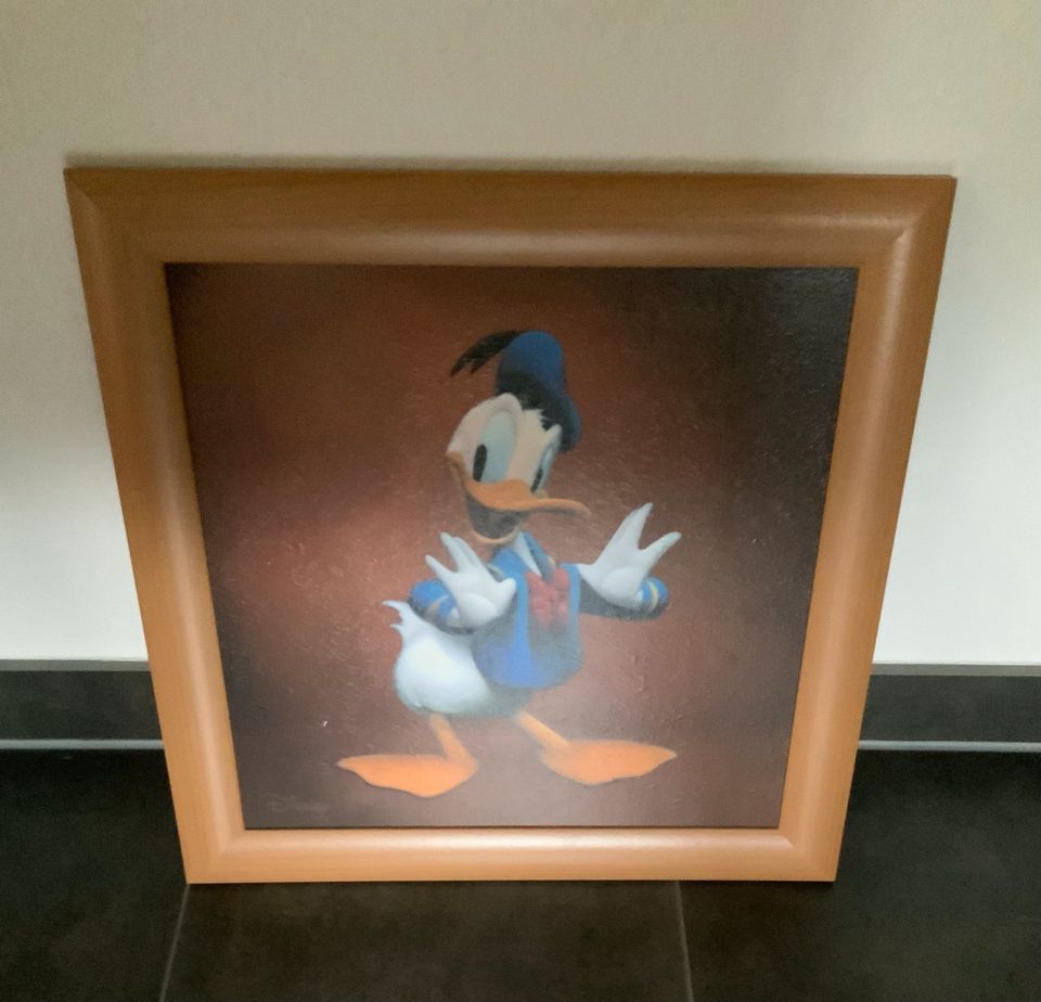 Bild...Donald Duck...Disney...40x40 cm in Hohberg