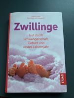 Buch „Zwillinge“ Baden-Württemberg - Neenstetten Vorschau