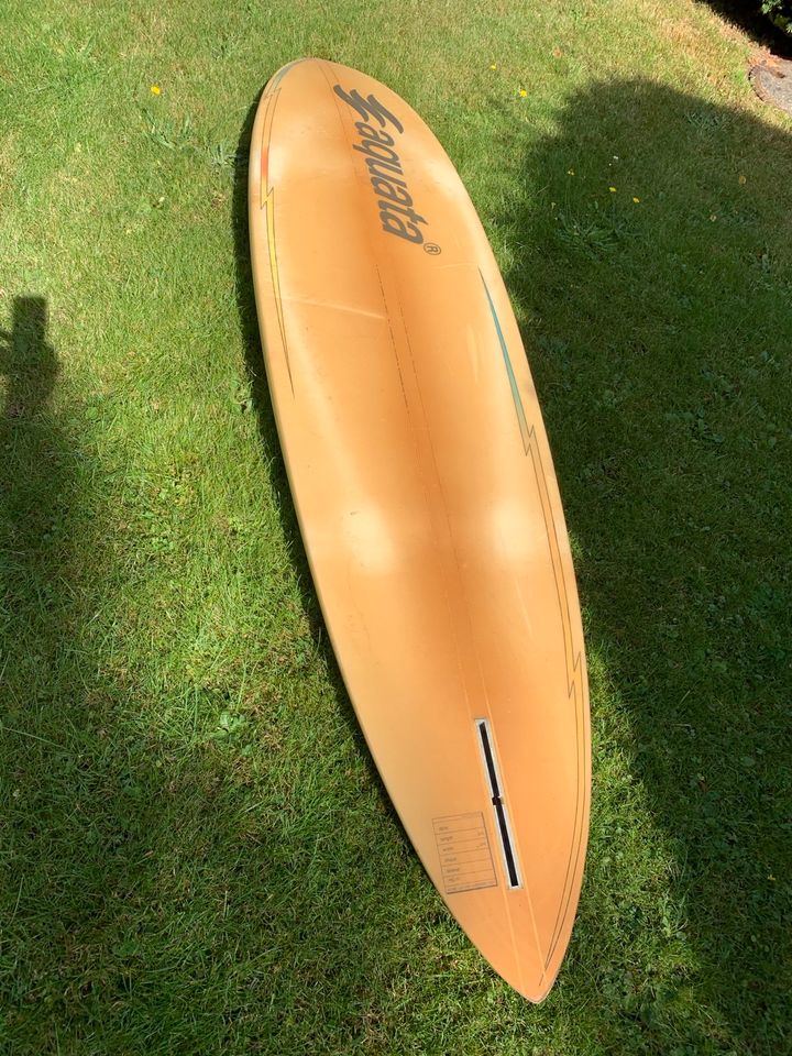 Surfboard Aquata Wave Board (custom-made) komplett mit 4 Segeln in Hamburg