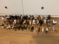 SCHLEICH Pferde/Ponys/Katze/Hund Nordrhein-Westfalen - Reken Vorschau