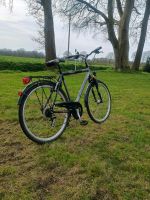 Herren Fahrrad 28" Hude (Oldenburg) - Nordenholz Vorschau