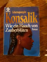 1x gelesene Romane Mecklenburg-Vorpommern - Boizenburg/Elbe Vorschau