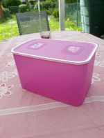 Tupperware Quadro 4,6 l pink Tupper Kr. München - Garching b München Vorschau